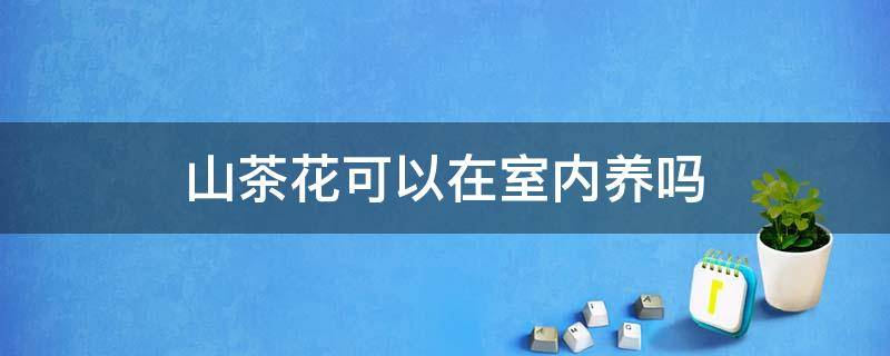 山茶花可以在室内养吗 山茶花能在室内养吗