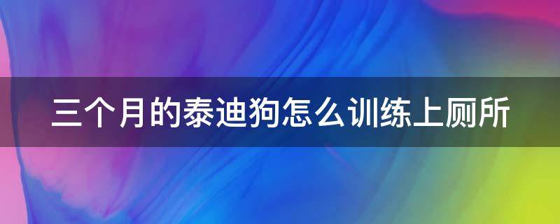 三个月的泰迪狗怎么训练上厕所 3个月的泰迪要怎么训练大小便