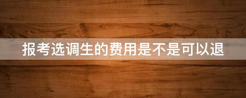 报考选调生的费用是不是可以退（选调生报名费能退吗）