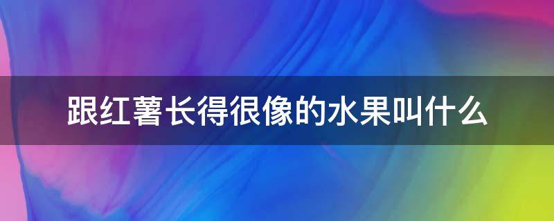 跟红薯长得很像的水果叫什么 和红薯很像的水果叫什么