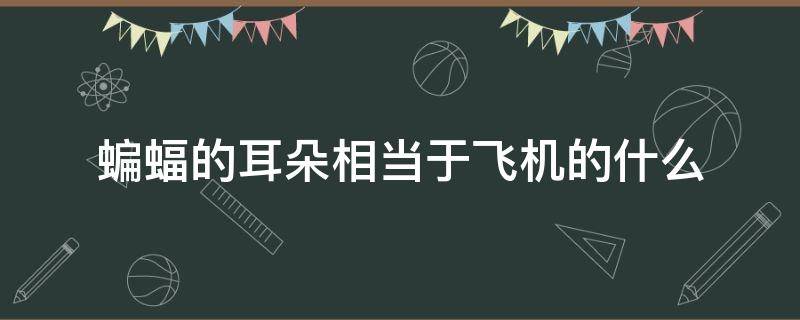 蝙蝠的耳朵相当于飞机的什么（蝙蝠的耳朵相当于飞机的什么部位）