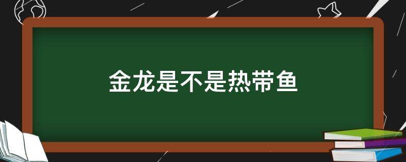 金龙是不是热带鱼 金龙鱼和银龙鱼是热带鱼吗?