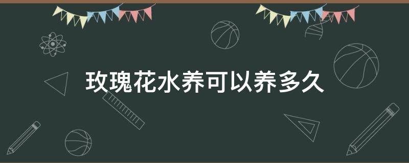 玫瑰花水养可以养多久 水养玫瑰怎么养的时间长