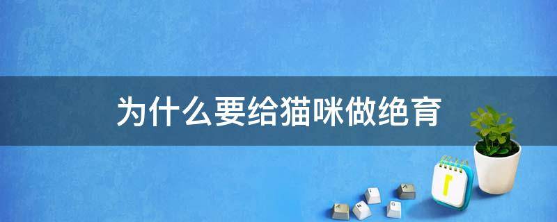 为什么要给猫咪做绝育 到底该不该给猫咪做绝育