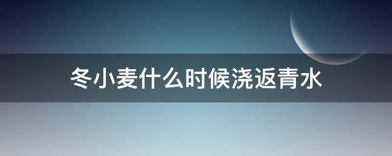 冬小麦什么时候浇返青水 冬小麦什么时候浇返青水合适