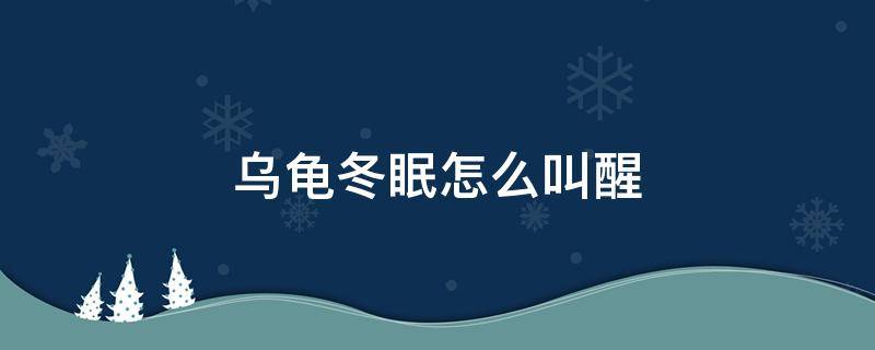 乌龟冬眠怎么叫醒（冬眠的乌龟可以直接叫醒不）