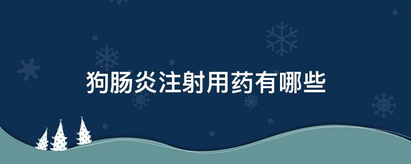 狗肠炎注射用药有哪些（狗肠炎输液用什么药）