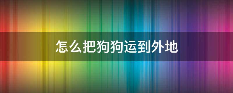 怎么把狗狗运到外地（如何把狗狗运到外地）