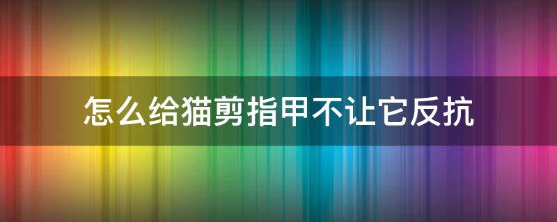 怎么给猫剪指甲不让它反抗 怎么样给猫咪剪指甲不抗拒