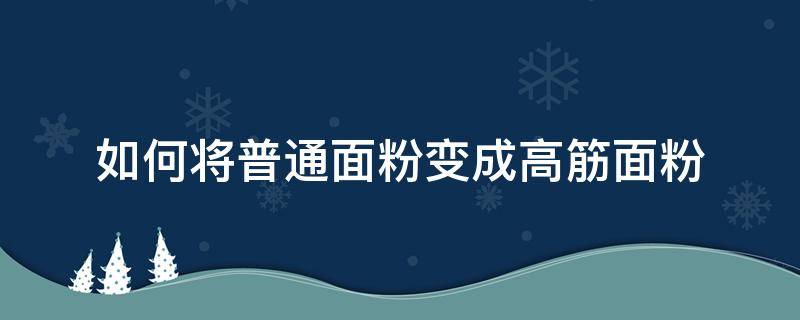 如何将普通面粉变成高筋面粉（怎么把普通面粉变成高筋面粉）