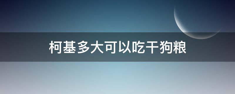 柯基多大可以吃干狗粮（柯基犬多大能吃干粮）