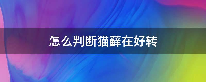 怎么判断猫藓在好转 猫藓好转的迹象是什么