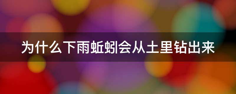 为什么下雨蚯蚓会从土里钻出来（下雨蚯蚓为什么爬出来寻死?）