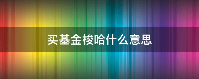 买基金梭哈什么意思（股票基金梭哈啥意思）