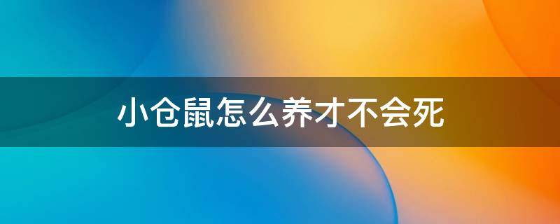 小仓鼠怎么养才不会死