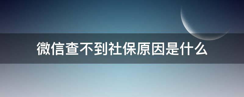 微信查不到社保原因是什么 在微信上查不到社保信息是为什么