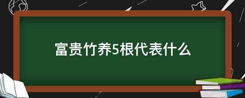 富贵竹养5根代表什么（家里养富贵竹养五根好吗）