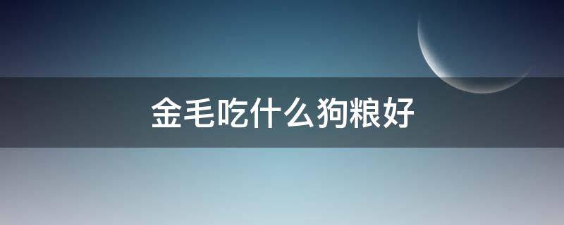 金毛吃什么狗粮好 金毛吃什么狗粮好呢