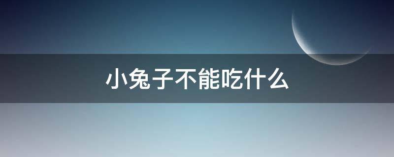 小兔子不能吃什么（小兔子不能吃什么东西）