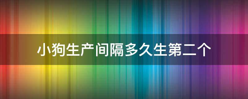 小狗生产间隔多久生第二个（狗狗生宝宝间隔多久生第二个）