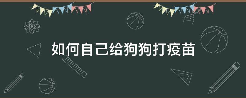 如何自己给狗狗打疫苗 怎么自己给狗狗注射疫苗