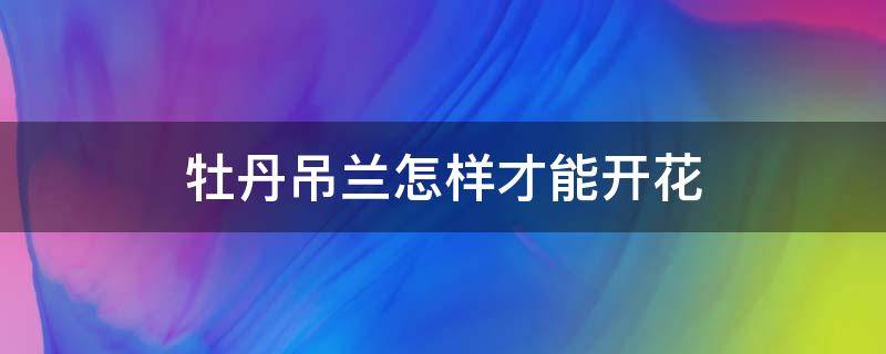 牡丹吊兰怎样才能开花（牡丹吊兰怎样才能开花多）