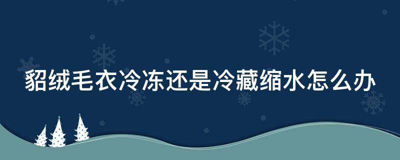 貂绒毛衣冷冻还是冷藏缩水怎么办 貂绒毛衣会缩水吗