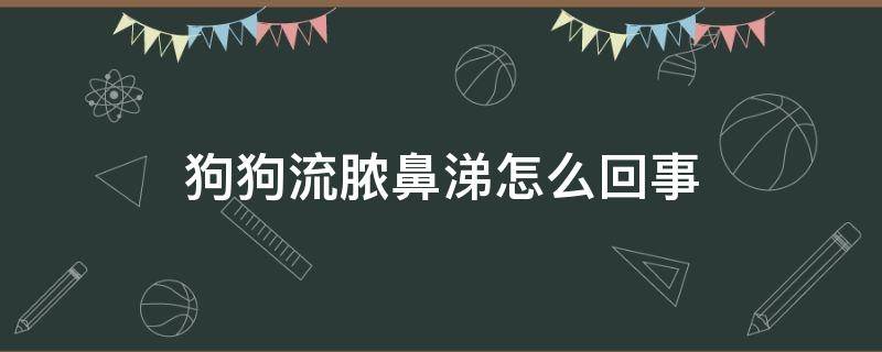 狗狗流脓鼻涕怎么回事（狗狗淌脓鼻涕）