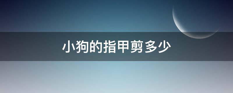 小狗的指甲剪多少（小狗指甲多大可以剪）