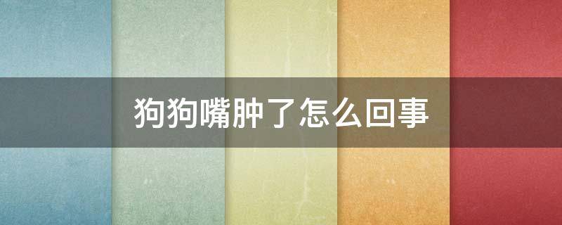 狗狗嘴肿了怎么回事 狗狗的嘴突然肿了是什么情况