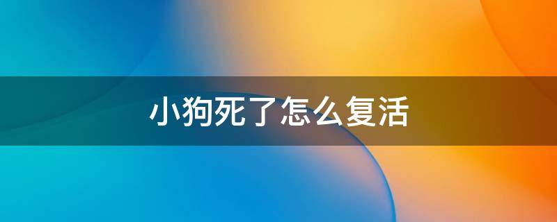 小狗死了怎么复活 小狗狗死了还能救回来吗