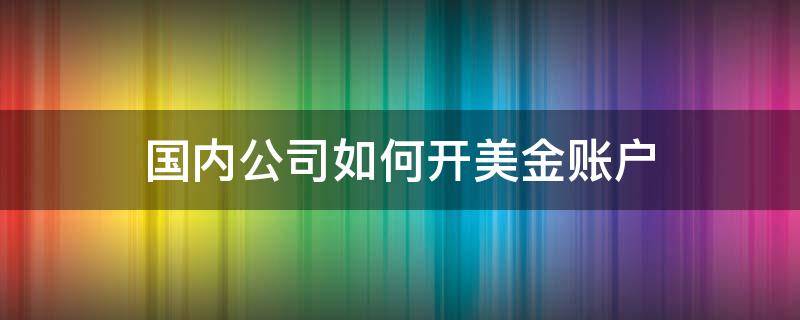 国内公司如何开美金账户（公司开设美金账户）