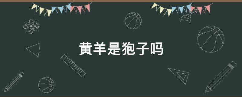 黄羊是狍子吗 黄羊是不是狍子