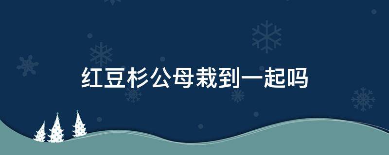 红豆杉公母栽到一起吗 红豆杉公母要种在一起吗