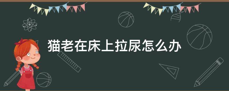 猫老在床上拉尿怎么办 猫老在床上拉尿是怎么回事啊