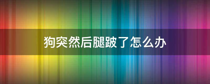 狗突然后腿跛了怎么办（狗狗突然脚跛了）