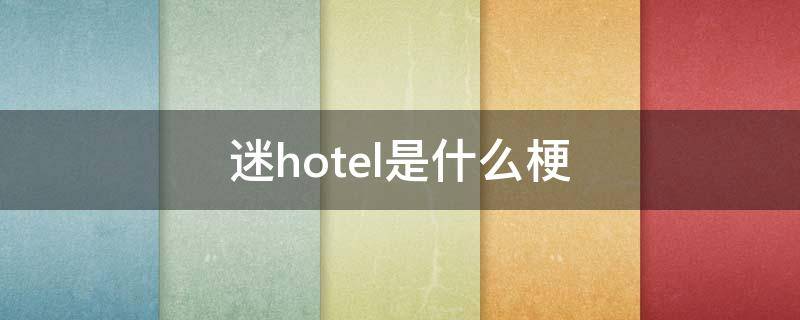 迷hotel是什么梗 迷hotel什么意思