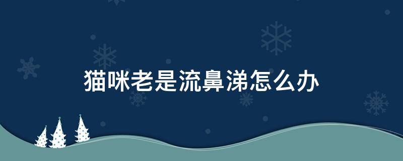 猫咪老是流鼻涕怎么办 猫咪总是流鼻涕怎么办