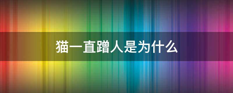 猫一直蹭人是为什么 猫一直蹭人是为什么然后喵喵喵的叫