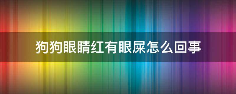 狗狗眼睛红有眼屎怎么回事（狗狗眼睛红红的有眼屎）