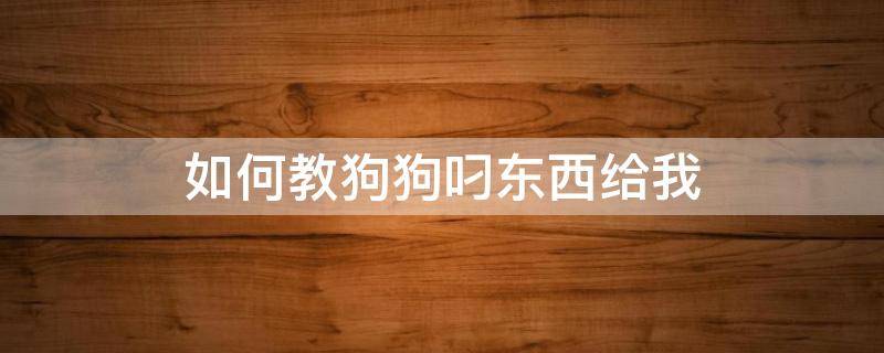 如何教狗狗叼东西给我 如何教狗狗叼东西给我视频