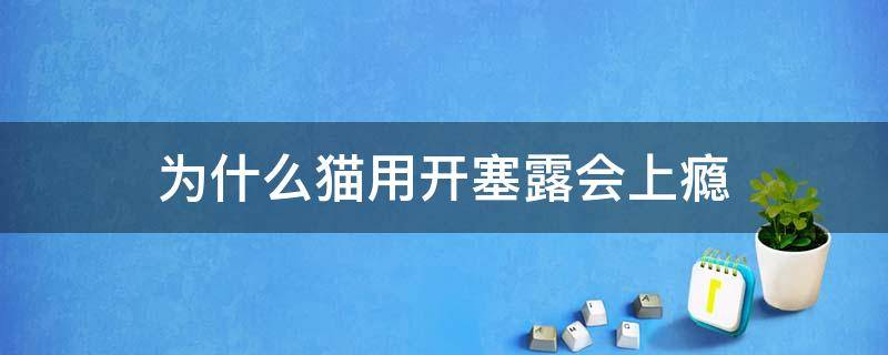 为什么猫用开塞露会上瘾 为啥猫用开塞露会上瘾