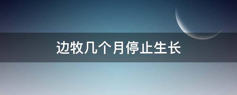 边牧几个月停止生长 边牧到几个月停止生长