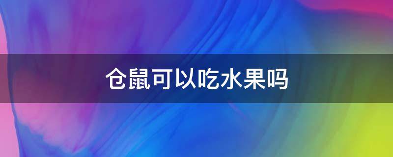 仓鼠可以吃水果吗（仓鼠可以吃梨吗）