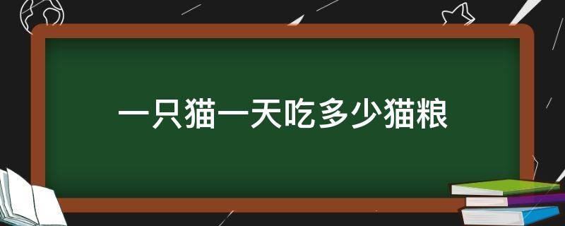 一只猫一天吃多少猫粮 一只猫一天吃多少猫粮合适