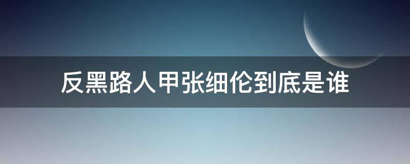 反黑路人甲张细伦到底是谁（反黑路人甲张细伦和高彬）