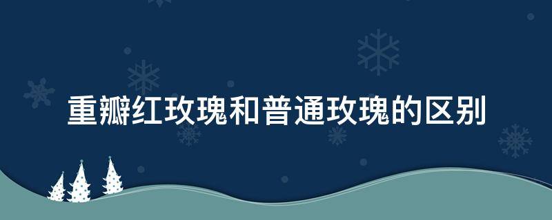 重瓣红玫瑰和普通玫瑰的区别 刺玫瑰和重瓣红玫瑰区别