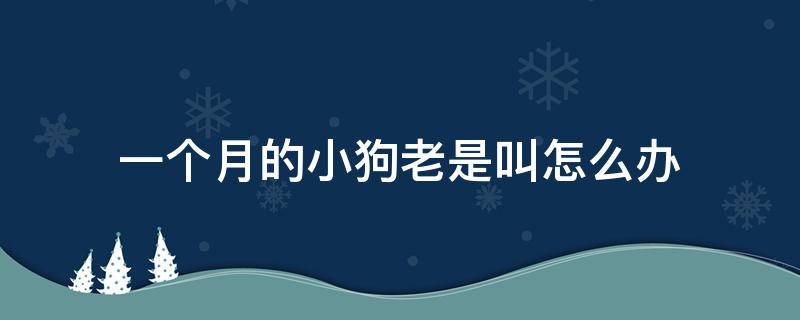 一个月的小狗老是叫怎么办（一个多月狗狗一直叫怎么办）