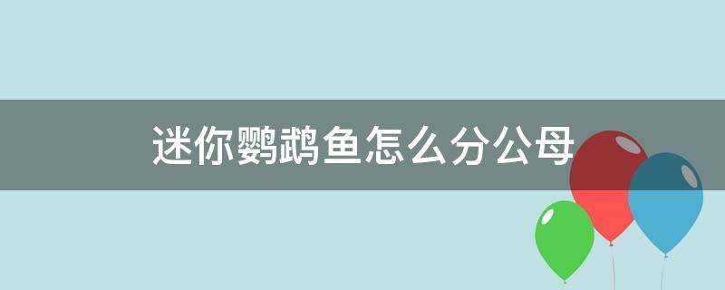 迷你鹦鹉鱼怎么分公母（迷你鹦鹉鱼怎么分公母图解）