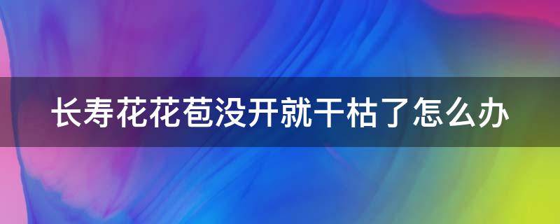 长寿花花苞没开就干枯了怎么办（长寿花的花苞枯萎了是什么问题）